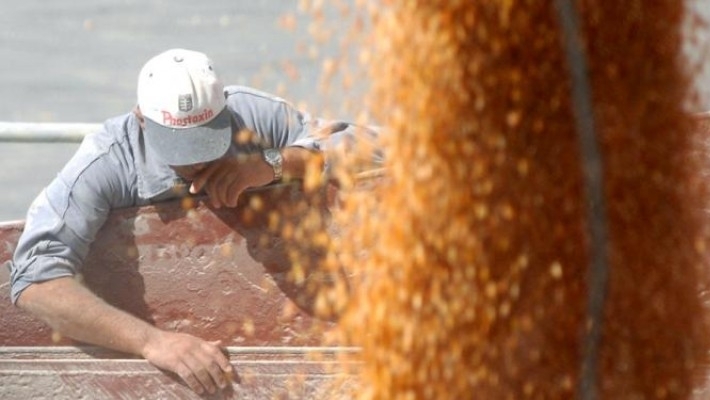 El agro, el gran salvavidas: con sus dólares financia el déficit del resto de los sectores