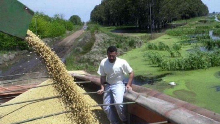 Cuáles son los beneficios impositivos del canje agropecuario