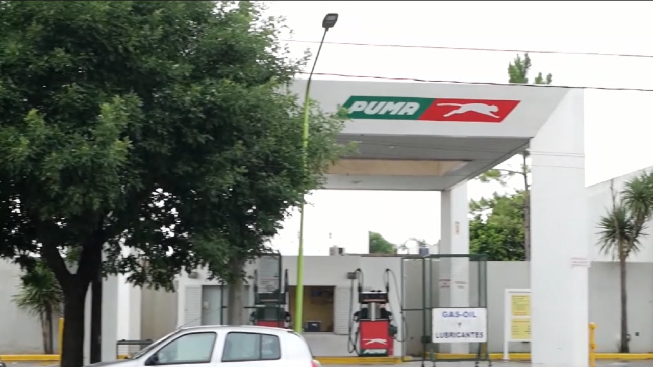 Imagen 3